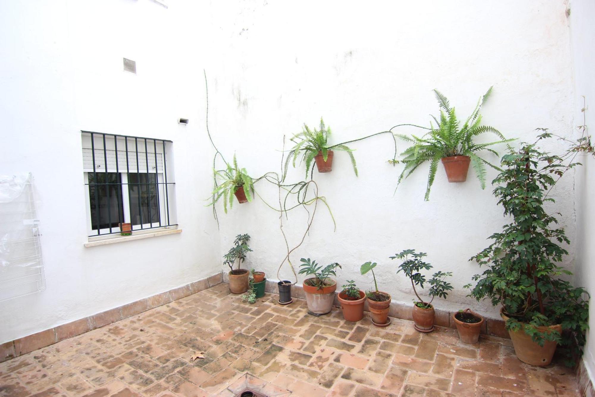 Rentalsevilla Espacioso Apartamento En La Alameda De Hercules Con Parking *